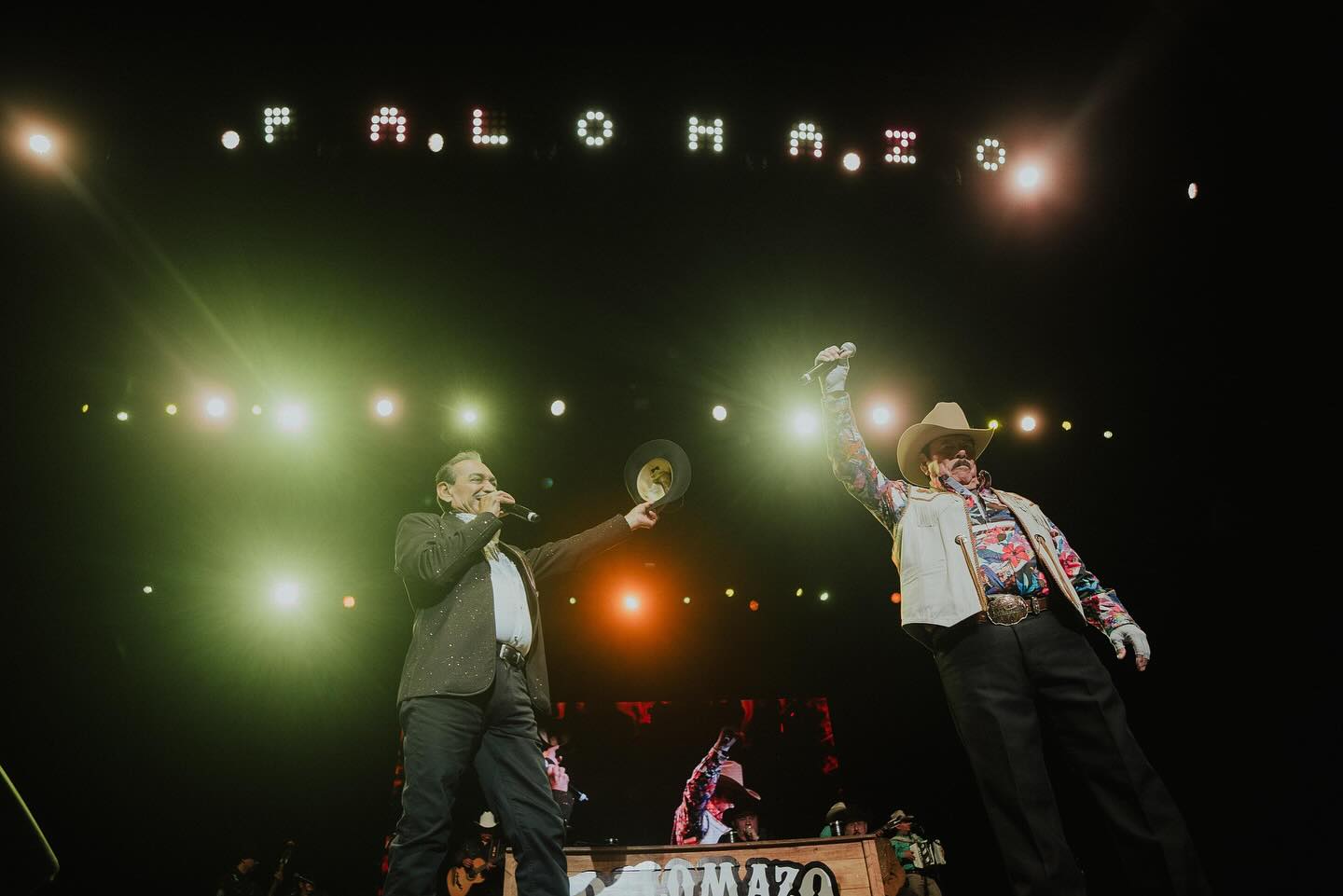 PALOMAZO NORTEÑO